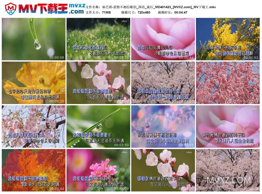 孙艺琪-爱情不相信眼泪_国语_流行_MD401423